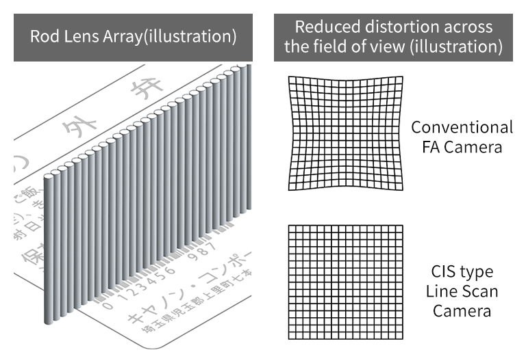 Rod Lens Array enabling 1:1 imaging with reduced distortion